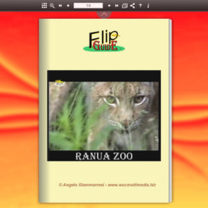 Ranua Zoo – Finlandia