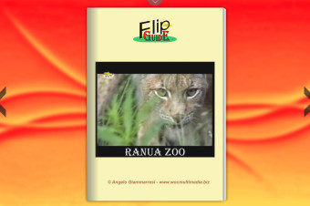 Ranua Zoo – Finlandia