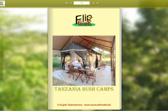 Tanzania Bush Camps