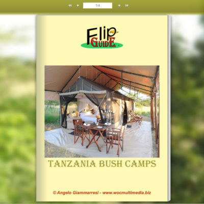 Tanzania Bush Camps