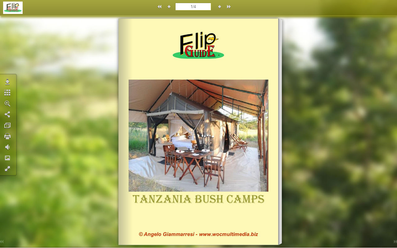 Tanzania Bush Camp