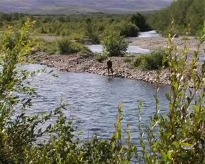 STABBURSDALEN NATIONAL PARK