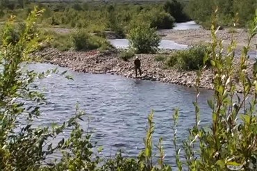 Wild Salmon Rivers in Stabbursdalen