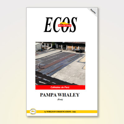 PAMPA WHALEY - Cafetales de Perú
