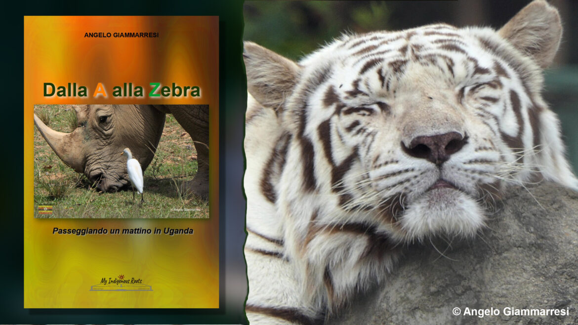 Dalla A alla Zebra – Passeggiando un mattino in Uganda